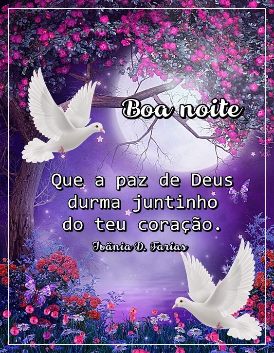 quanto custa enviar mensagem de boa noite em massa