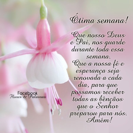 mensagens de boa semana para amigos