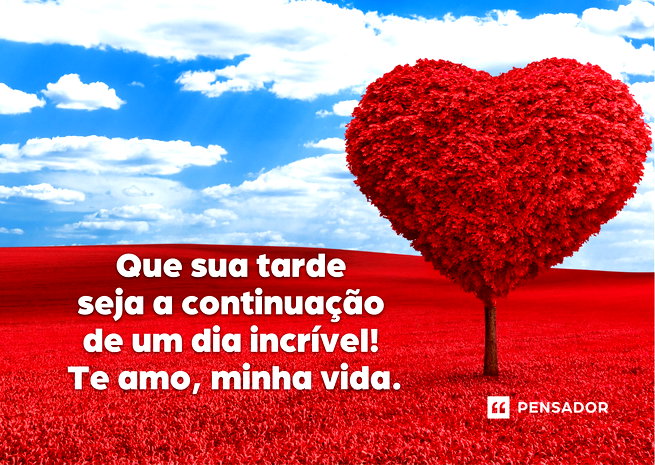 custo de enviar mensagem de boa tarde com carinho