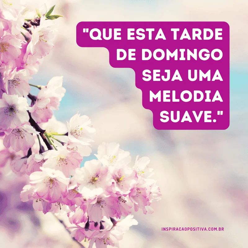 frases de boa tarde domingo abençoado