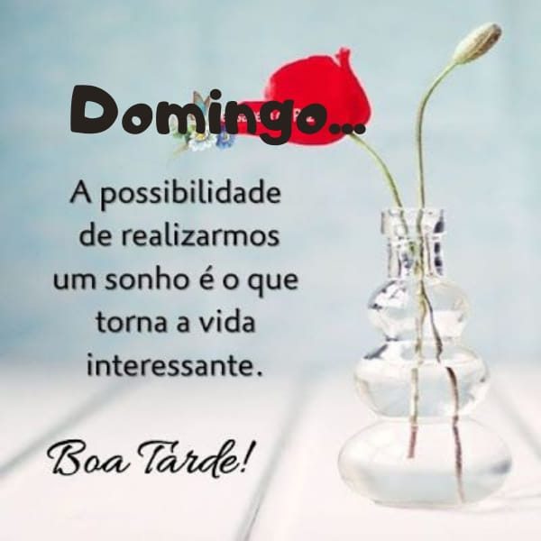 textos de boa tarde domingo