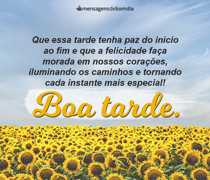 mensagens de boa tarde de domingo para família