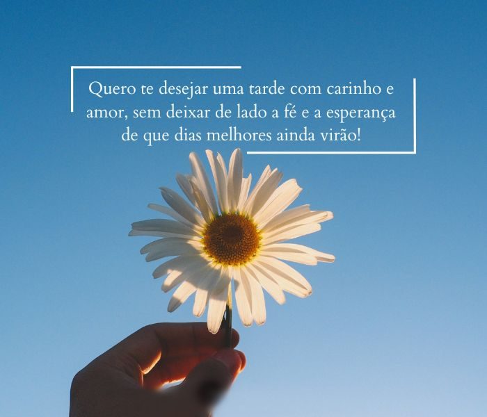 mensagem de boa tarde com flores