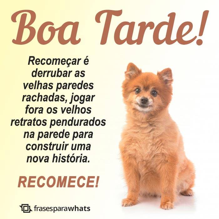 erros comuns ao enviar mensagem de boa tarde