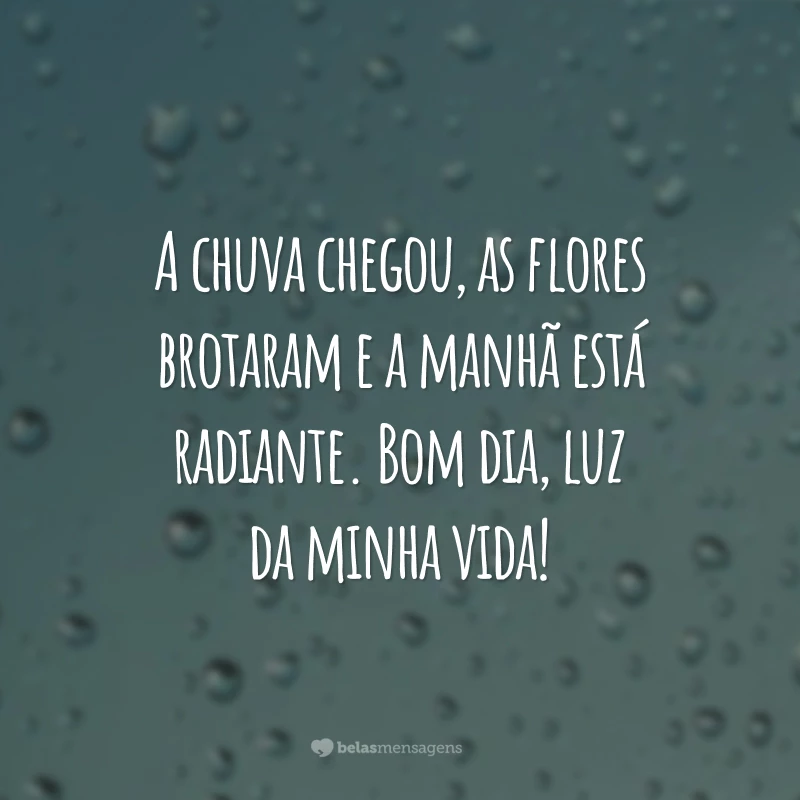 5 ideias de títulos:
1. Bom Dia com Chuva: Mensagens que Aquecem a Alma
2. A Poesia da Chuva: Frases Inspiradoras para Começar o Dia
3. Chuva de Bênçãos: Mensagens Religiosas para Dias Chuvosos
4. Dicas de Ouro: Como Enviar a Mensagem de Bom Dia Chuvoso Perfeita
5. Dias Chuvosos