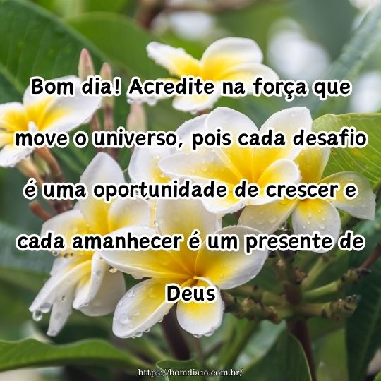 bom dia com fé e esperança