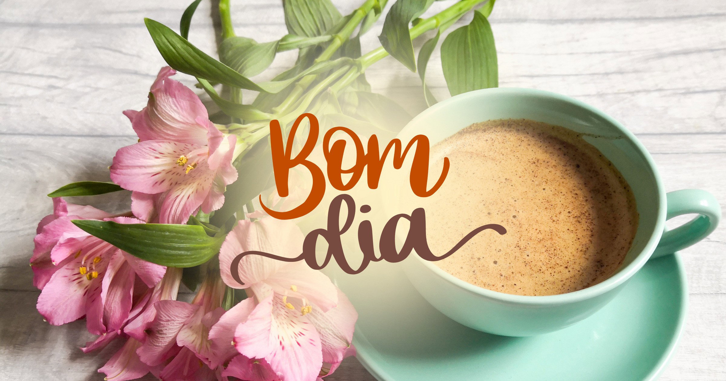 bom dia com flores e frases