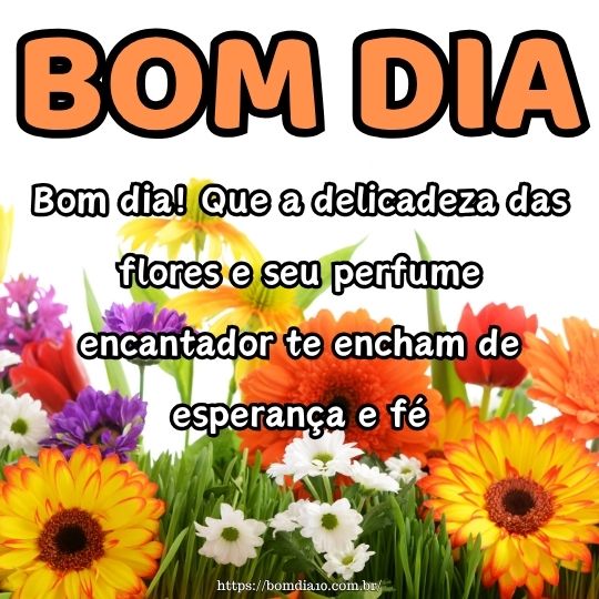 bom dia com flores para whatsapp