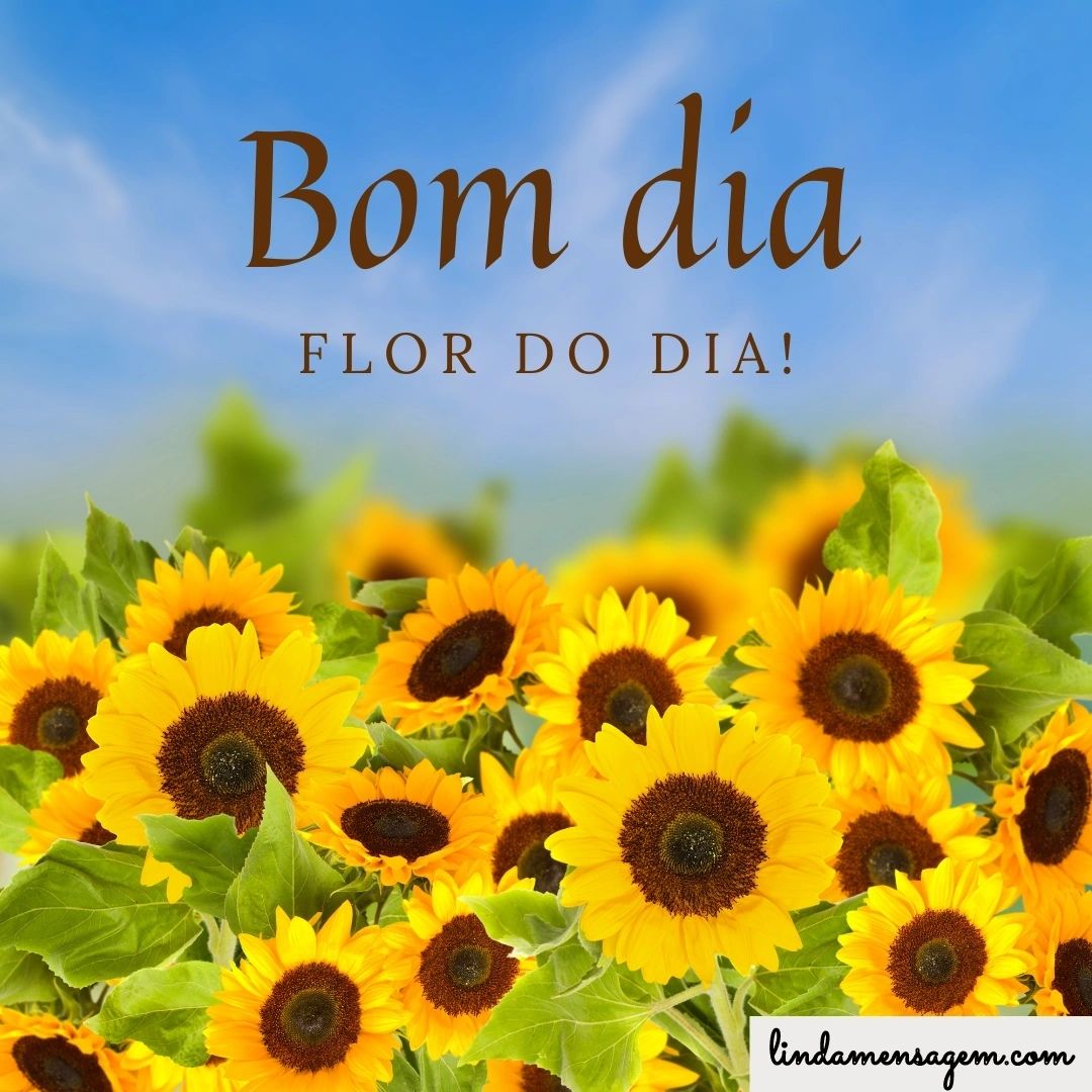 imagens de bom dia com flores e mensagens
