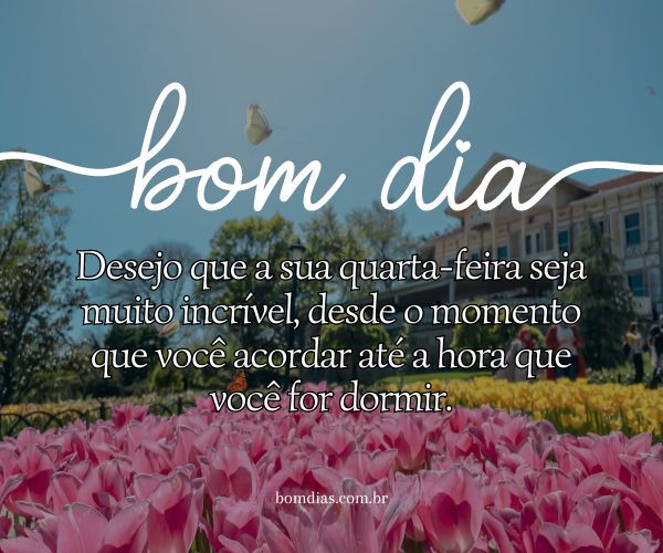 mensagem de bom dia de quarta feira