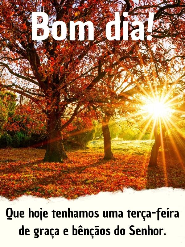 bom dia terça-feira motivação