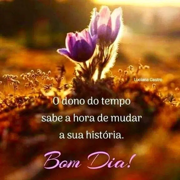 bom dia reflexivo