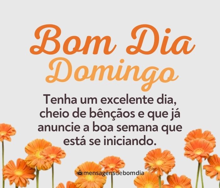 bom dia domingo com humor