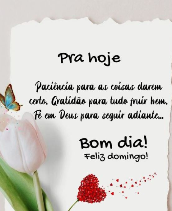 bom dia domingo reflexão
