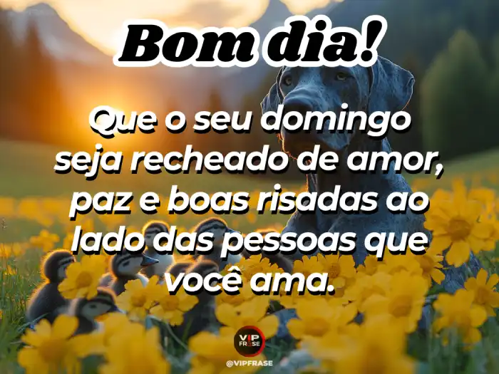 frases de domingo para família