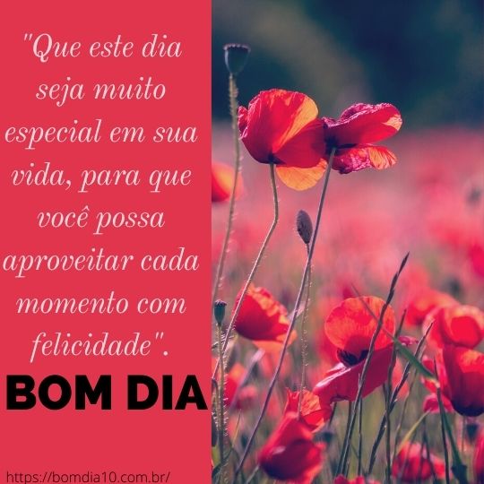 mensagens curtas de bom dia