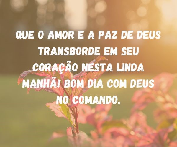 mensagem de bom dia evangélica vs mensagem de bom dia genérica