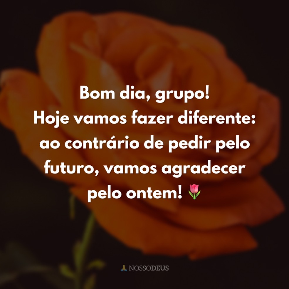 mensagem de bom dia grátis