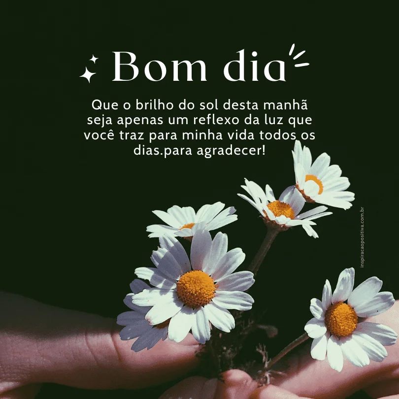 mensagens de bom dia que geram curiosidade