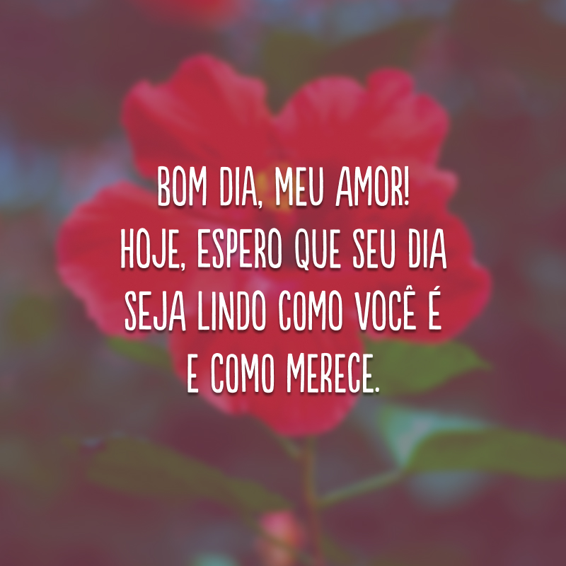 mensagem de bom dia para esposa com versículo bíblico