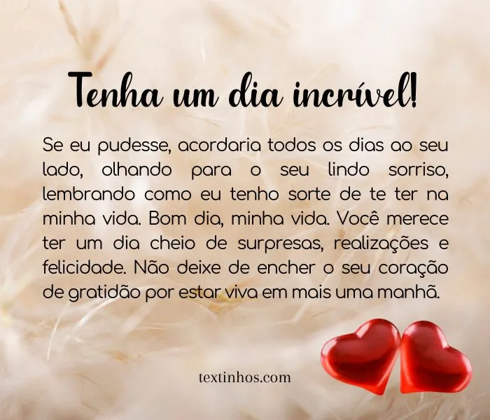 bom dia meu amor frases curtas