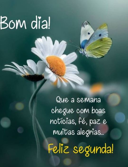 status bom dia segunda-feira