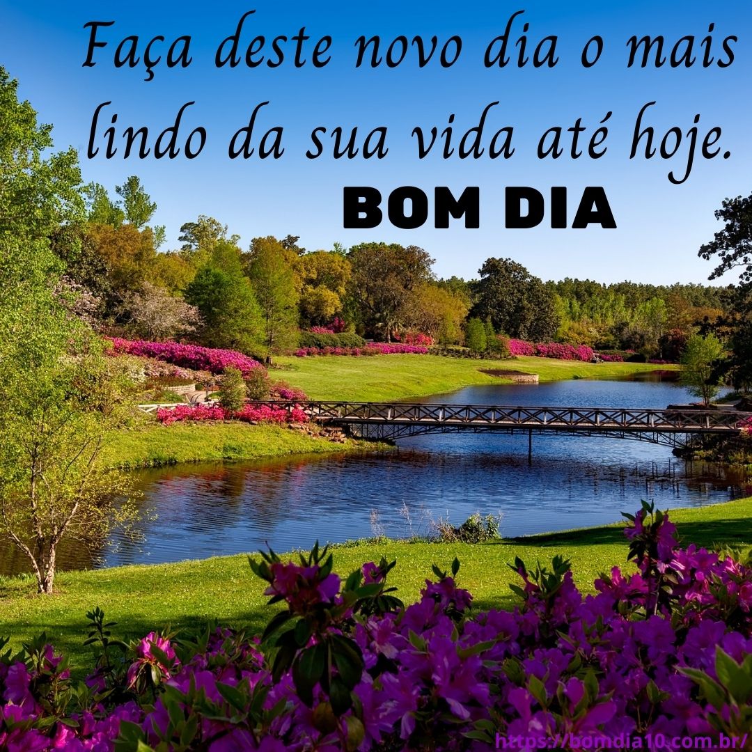 mensagem de bom dia com flores para whatsapp