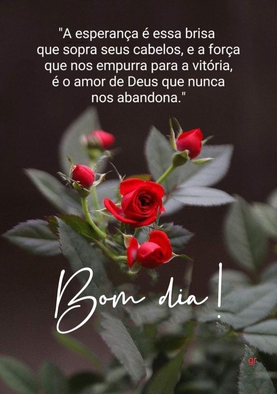 frases de bom dia com flores
