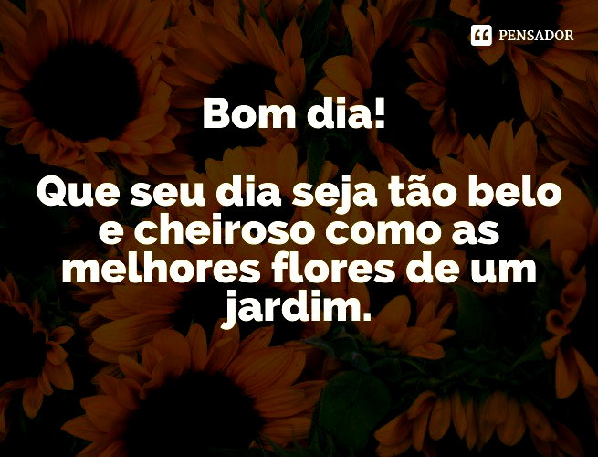 bom dia com flores e versos