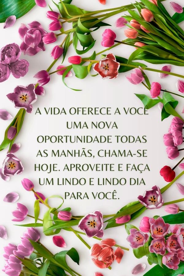 bom dia com flores para amiga