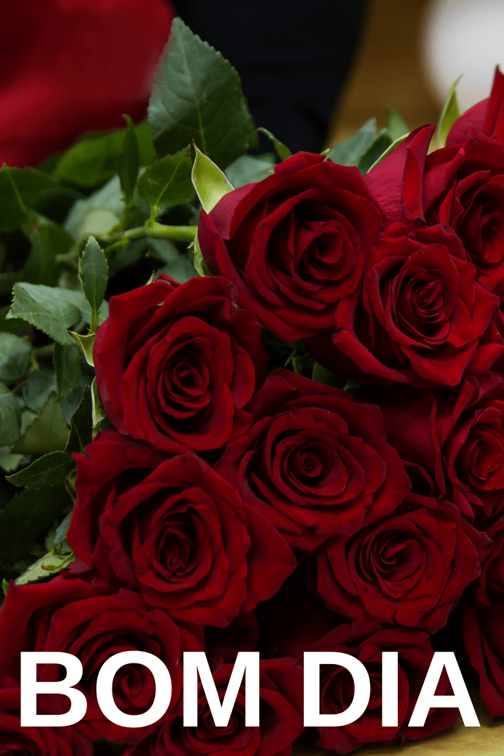 bom dia com flores para namorado