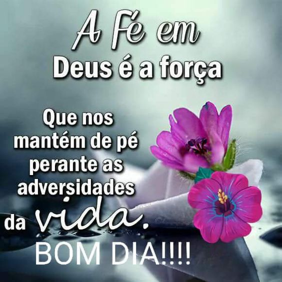bom dia com imagem de flores
