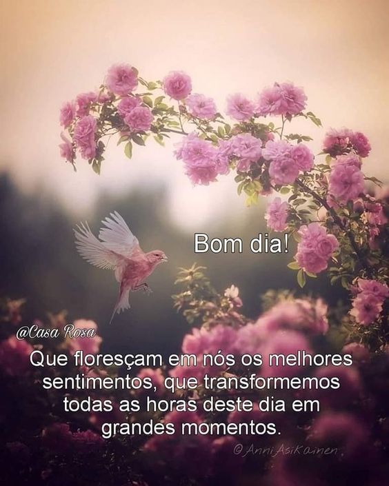 bom dia reflexivo