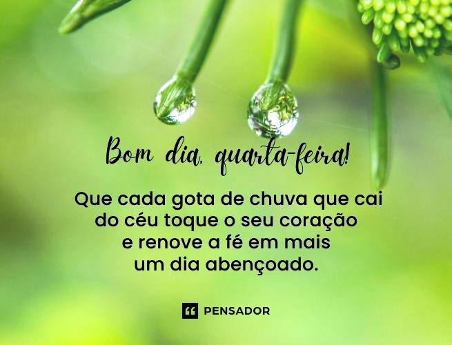 mensagem de bom dia quarta feira