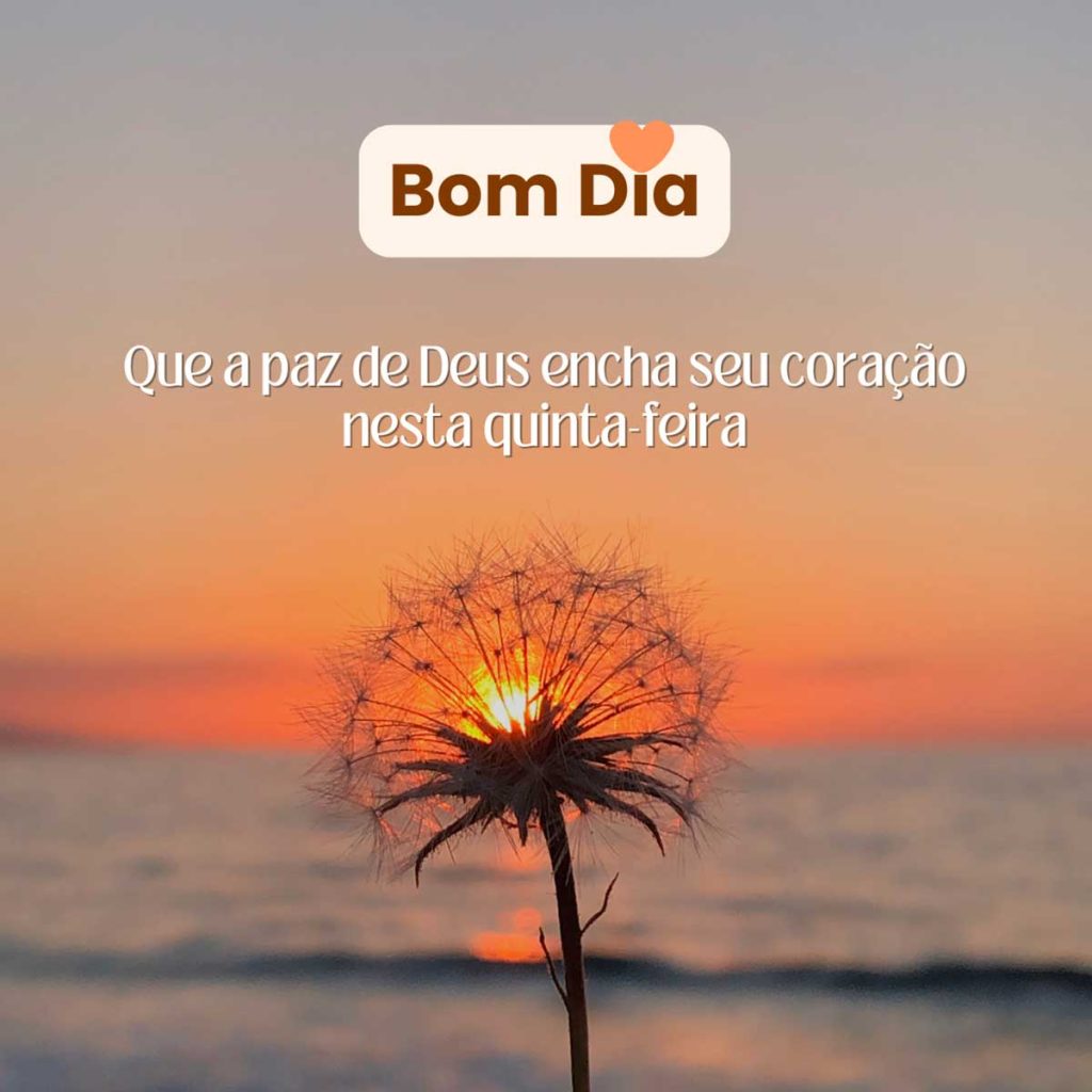 quinta-feira de paz e renovação