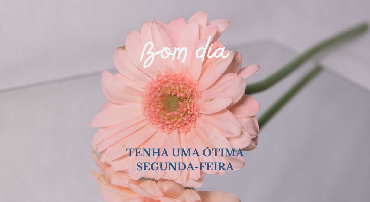 erros comuns ao enviar mensagem de bom dia segunda feira