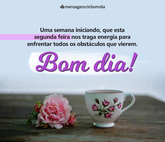 mensagem de bom dia segunda feira vs mensagem de bom dia terça feira