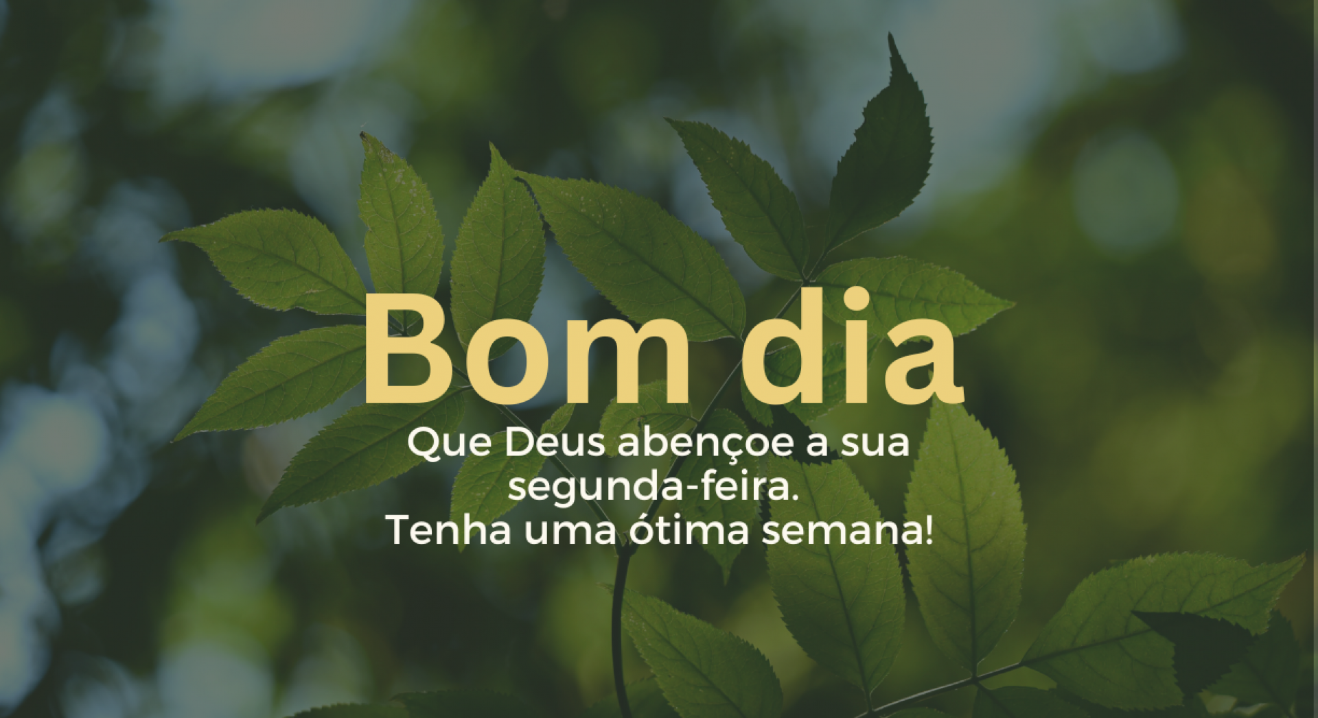 5 ideias de títulos:
1. Mensagens de Bom Dia para Segunda-feira: Comece a Semana com Energia Positiva
2. Frases Inspiradoras para a Segunda-feira: Motivação para o Seu Dia
3. Como Enviar Mensagens de Bom Dia no WhatsApp para a Segunda-feira
4. Mensagens de Fé e Esperança para uma Segunda-feira Abençoada
5. Dicas de Frases Curtas e Diretas para Desejar Bom Dia na Segunda