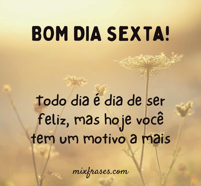 mensagem de bom dia sexta-feira de gratidão