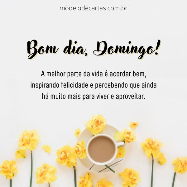 custo de enviar mensagem de bom domingo em massa