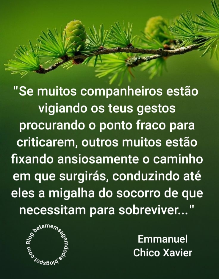 frases de chico xavier sobre a vida