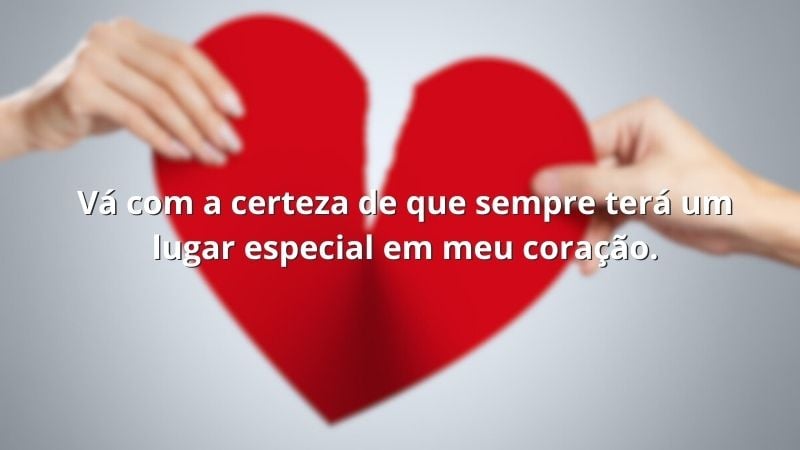 mensagem de despedida para colega vs amigo