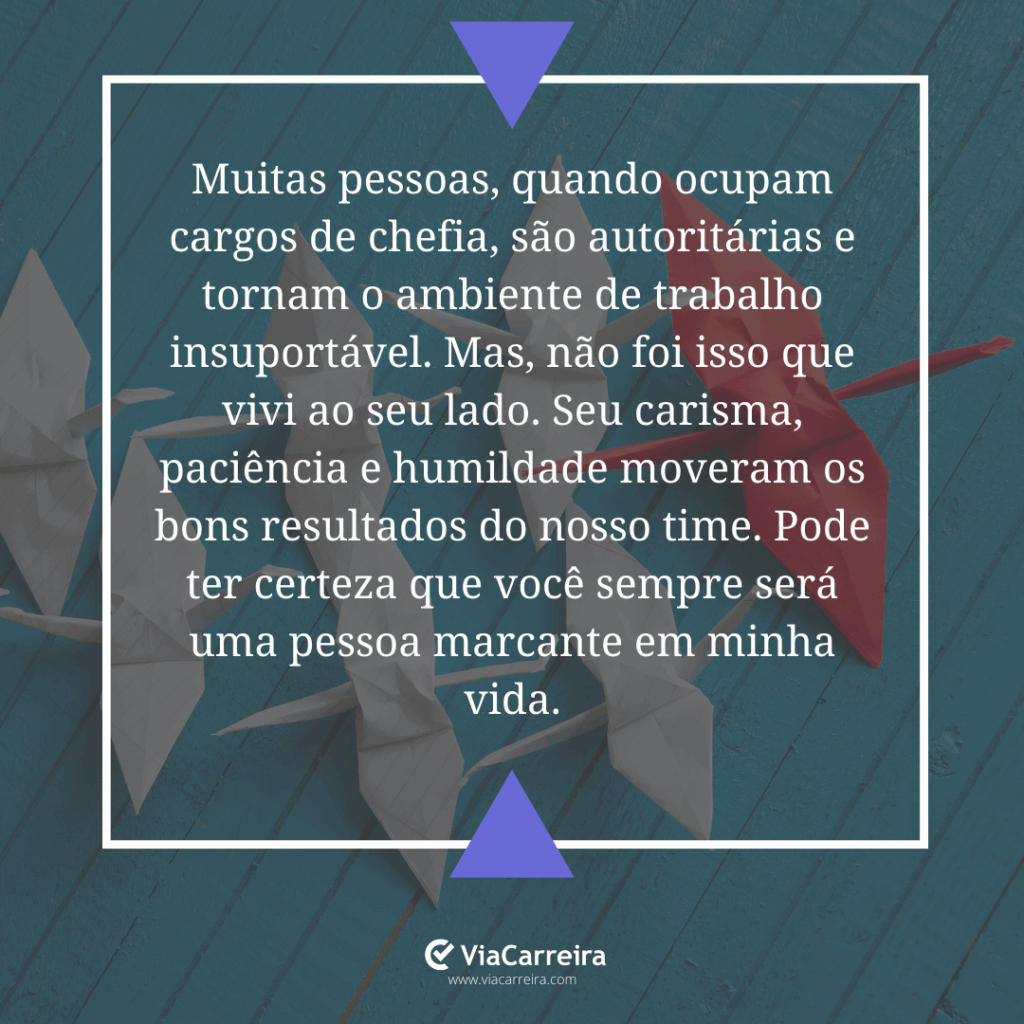 mensagem de agradecimento colega de trabalho
