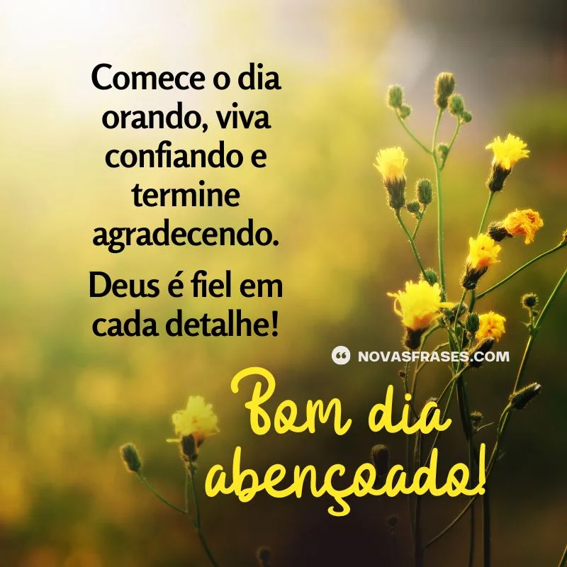 bom dia com a palavra de Deus