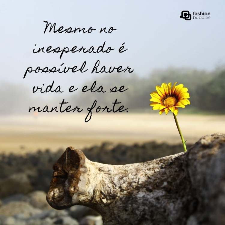 mensagem de esperança para o trabalho