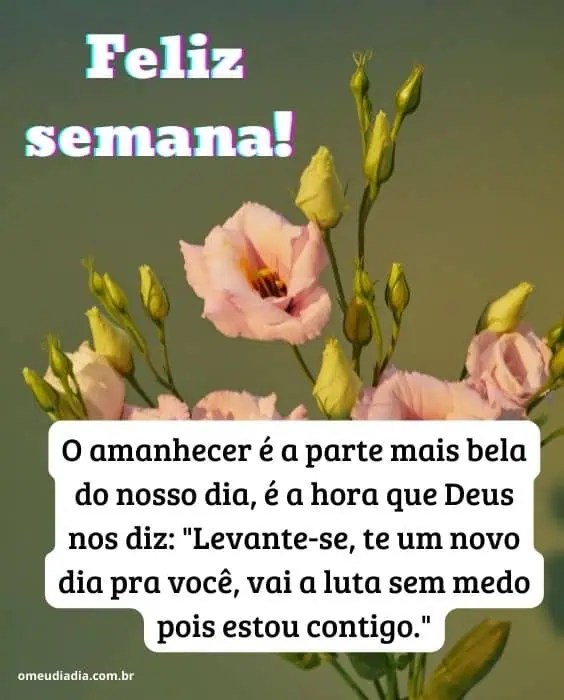 mensagens de boa semana para trabalho