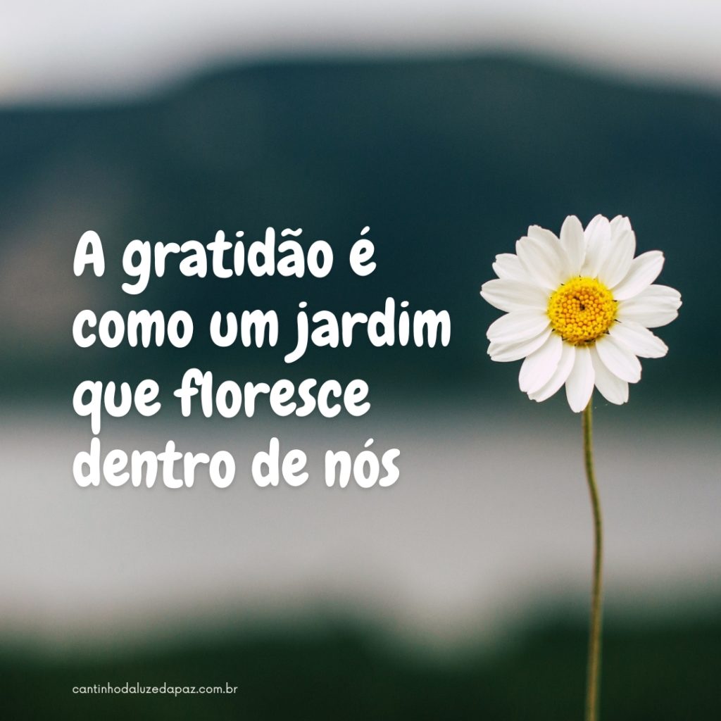 como expressar gratidão