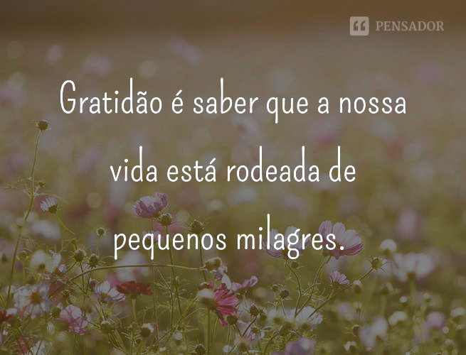 frases de gratidão pela vida