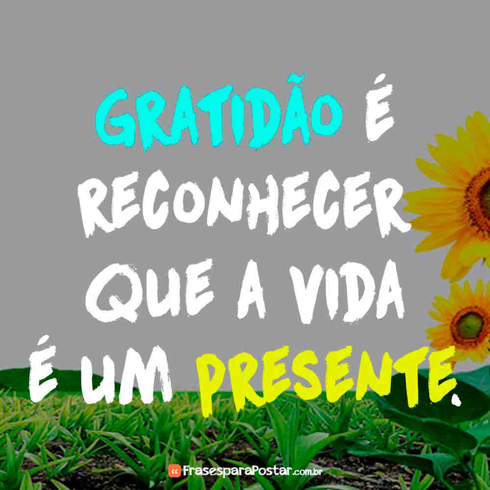 gratidão pela vida e trabalho