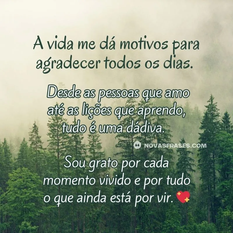gratidão por tudo que virá